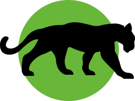 Крепкий кот